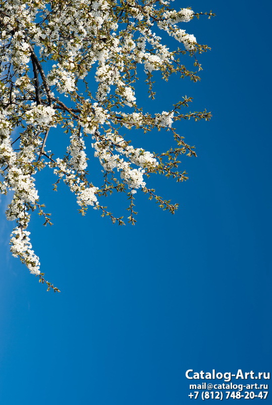 Blossom tree 105